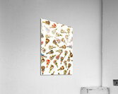 A visual play in music Acrylic Print