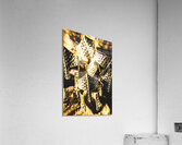 Legion of history Acrylic Print