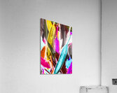 Color In Verse Acrylic Print