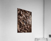 Nature in design Acrylic Print