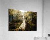 Montezuma Falls Tasmania Acrylic Print