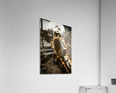 Ignition Acrylic Print
