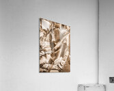 Chocolicious  Acrylic Print