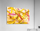 Palletry Plumes Acrylic Print