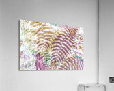 Exotic pop Acrylic Print