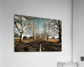 Entrance to Narrandera the Town of Trees Impression acrylique