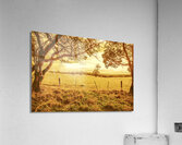 Autumn vista Acrylic Print