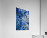 What dreams may Acrylic Print