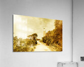 Wayback Beacon Acrylic Print