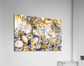 Ornamental oceanics Acrylic Print