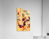Group of Butterflies with Colorful Wings Acrylic Print