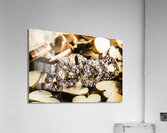 This modern love Acrylic Print