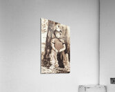 ww2 wingman holding the forte Acrylic Print