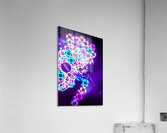 Singapore Sling Acrylic Print