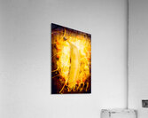 Country style food artwork Acrylic Print