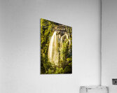 Spring falls Acrylic Print