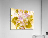 Pastel inverse Acrylic Print