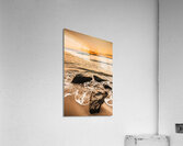 Morning Tide Acrylic Print