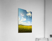 Vertical plains Acrylic Print