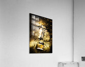 Apocalyptic terror Acrylic Print