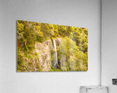 Scenic forest falls Acrylic Print