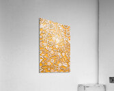 Branch and blossom Acrylic Print