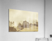 Hazy remote woodlands Acrylic Print