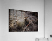 Coming to a store near you Acrylic Print