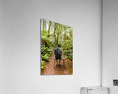 Travel man sitting in a green lush fern forest Acrylic Print