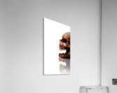 Horror Head Acrylic Print