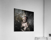 The Monster scarecrow Acrylic Print