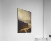 View of abandoned country road in foggy forest Acrylic Print
