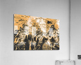 Seas and conquest Acrylic Print