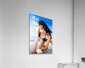 Shell Search Discovery Acrylic Print