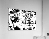 Feathermentary  Acrylic Print