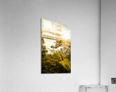 Strahan Sunset Acrylic Print