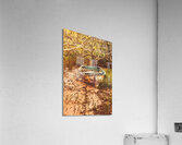 Shored Acrylic Print