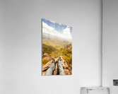 Tasmania bushwalking views Acrylic Print