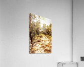 Easely lead  Acrylic Print