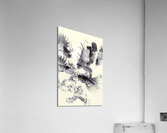 Beneath  Acrylic Print