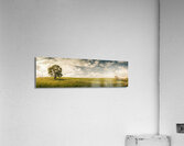 Camena Tasmania country panorama Acrylic Print