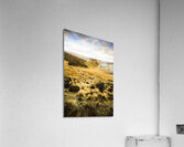 Central highlands of Tasmania Acrylic Print