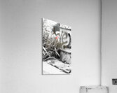 Sneaky The Clown Acrylic Print