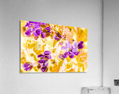 Retro vibrancy Acrylic Print