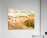 Meandering hills Acrylic Print