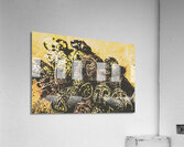 Losses from the colossus  Acrylic Print