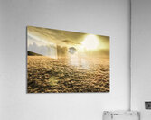 Enigmatic grassland Acrylic Print