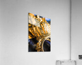 A royal engagement Acrylic Print