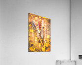 In samurai style Acrylic Print