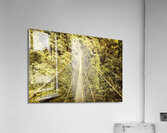 Adventure high Acrylic Print